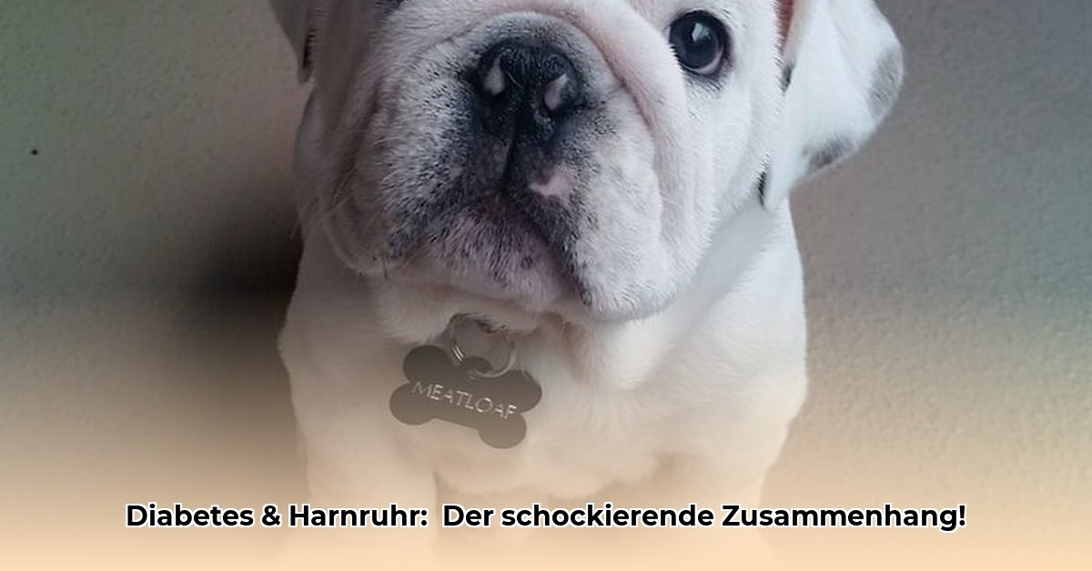 harnruhr